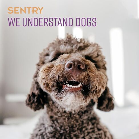 Sentry Calming Chews for Dogs, in Saudi Arabia