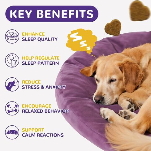 Melatonin for Dogs - Dog Sleep Aid Calming Chews for Small and Large Dogs - Natural Hemp Dog Sleep Aid, Puppy Sleeping Pills for Anxiety, Stress, Separation, Barking, Fireworks,150 ct in Kuwait