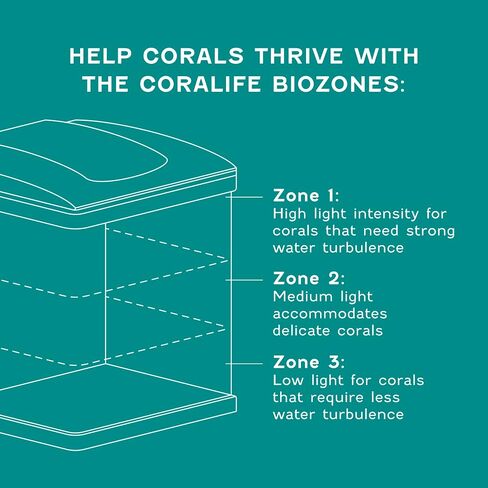 Coralife BioCube Fish Tank Water Filter Cartridge, 2 Pack in Kuwait