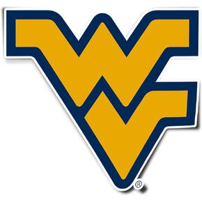 Desert Cactus West Virginia University Sticker Mountaineers WVU Hail Vinyl Decal Laptop Water Bottle Car Scrapbook Sticker (IND 3)