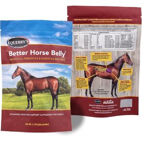 EQUERRY'S Better Horse Belly – Gut Support Supplement with Probiotics, Prebiotics & Digestive Enzymes | for Colic and Digestive Upset, 1.1LB in Kuwait