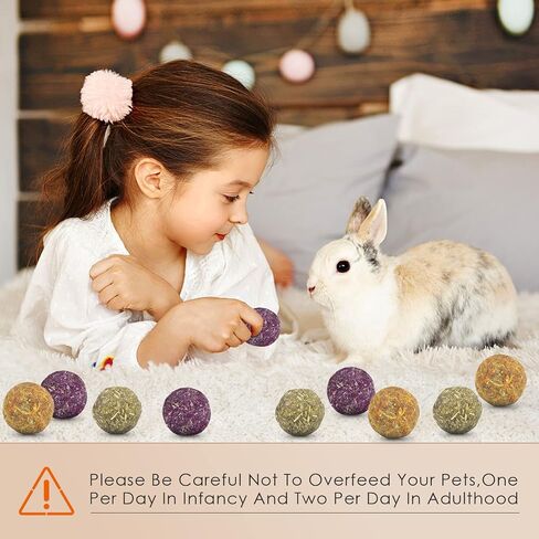 Bissap Bunny Chew Toys 15PCS, 100% Natural Flowers Flavored Timothy Hay Balls Rabbit Chew Treats for Hamster Guinea Pigs Rats Chinchillas Gerbils and Other Small Animals Teeth Care in Saudi Arabia