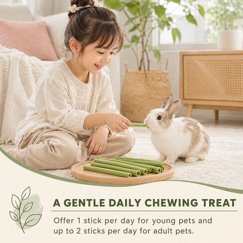 35PCS Rabbit Chew Sticks,Molar Toys for Guinea Pigs, Hamsters,Chinchillas in Saudi Arabia