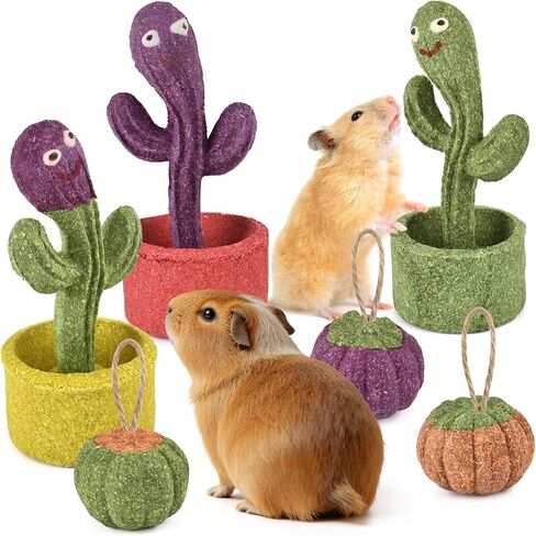 ERKOON 2Pcs Guinea Pig Chew Toys, Natural Timothy Grass & Vegetables Bunny Treats, Prevent Teeth Overgrowth, Small Animal Molar Toy for Rabbit, Hamster, Chinchilla, Gerbil Habitat Decor，Cactus-Shaped in Saudi Arabia