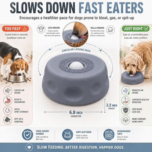 Dog Lick Bowl with Ball & Suction - Dog Food Bowl Slow Feeder for Liquid Treats, Bone Broth Yogurt, Interactive Rolling Ball Design for Anxiety Relief & Mental Stimulation for Small Medium Dogs in Kuwait