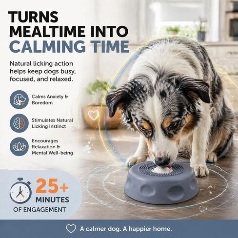 Dog Lick Bowl with Ball & Suction - Dog Food Bowl Slow Feeder for Liquid Treats, Bone Broth Yogurt, Interactive Rolling Ball Design for Anxiety Relief & Mental Stimulation for Small Medium Dogs in Kuwait