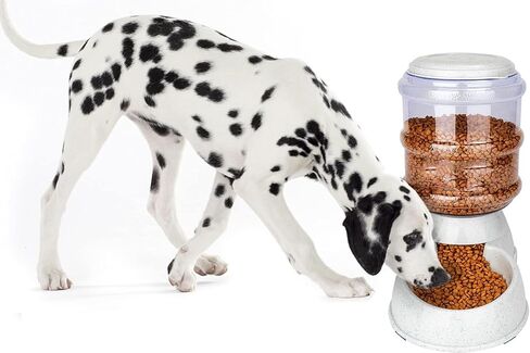 Old Tjikko Automatic Feeder and Water Dispenser in Set,Gravity Food Feeder and Waterer with Pet Food Mat,Large, 3 Gallonx 2, Gray (Water and Food Dispenser Set) in Saudi Arabia