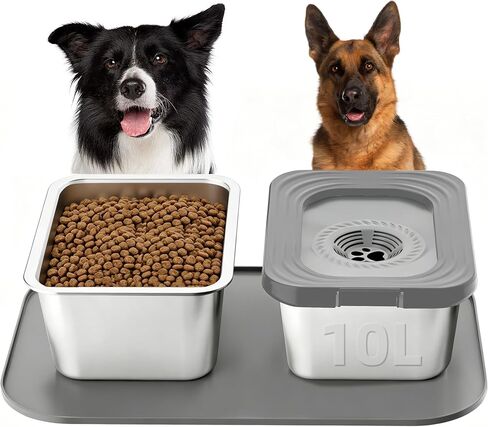 10L No Spill Dog Water Bowl and Stainless Steel Food Bowl with Mat in Saudi Arabia