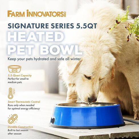 Farm Innovators SB-60 Signature Series 5.5 Quart Electric Heated Pet Water Bowl with Stainless Steel Insert, Thermostatic Control, 60 Watt in Kuwait