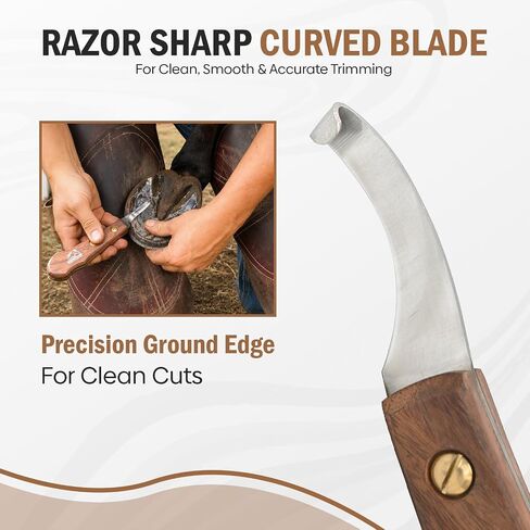 Equine Care Right-Handed Farrier Hoof Knife, Sheesham Wood Handle in Kuwait