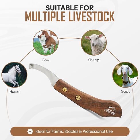 Equine Care Right-Handed Farrier Hoof Knife, Sheesham Wood Handle in Kuwait