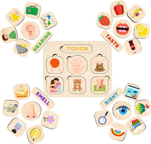 Five Senses Puzzles for Toddlers 2-4, 5 Senses Sorting Toys in Kuwait
