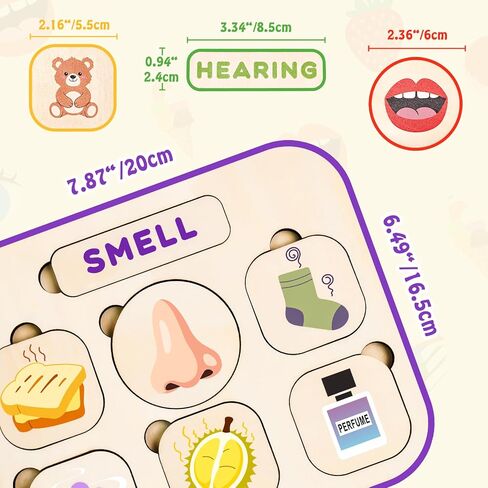 Five Senses Puzzles for Toddlers 2-4, 5 Senses Sorting Toys in Kuwait