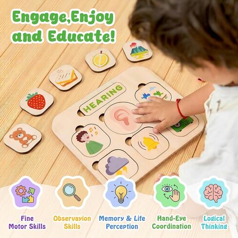 Five Senses Puzzles for Toddlers 2-4, 5 Senses Sorting Toys in Kuwait