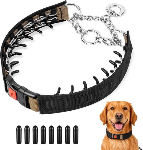 Crazy Felix No Pull Dog Collar, Heavy-Duty Metal Martingale Hidden Collar in Saudi Arabia