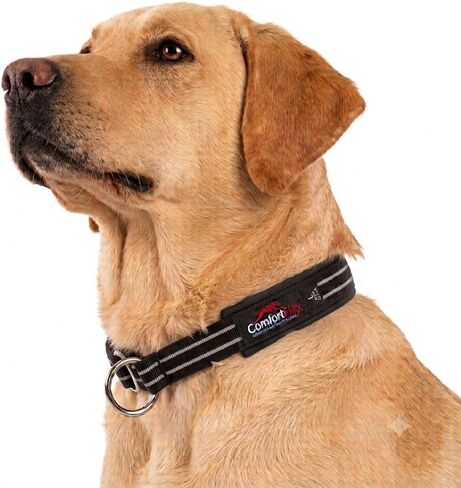 طوق ComfortFlex Martingale للكلاب - طوق أمريكي منزلق، عاكس، قابل للتعديل، طوق تدريب مانع للسحب للكلاب الصغيرة - ناعم، عريض، مبطن بالكامل، مقاوم للهروب - صغير، أزرق جاي in Kuwait