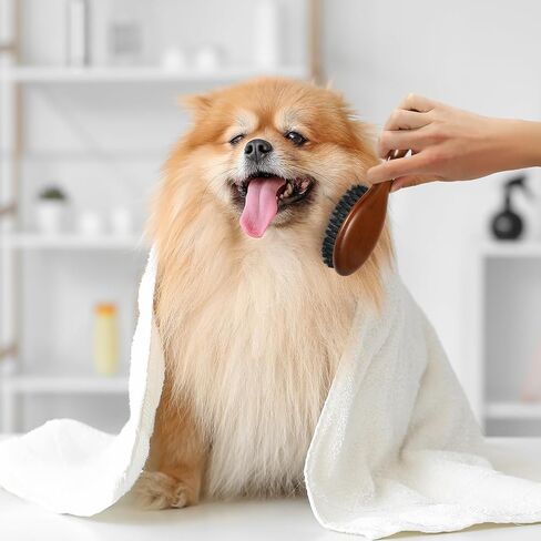 Natural Boar Bristle Cat Brush, Soft Pet Grooming Brush with Wooden Handle for Reduce Shedding, Pet Hair Brush for Dogs & Cats in Kuwait