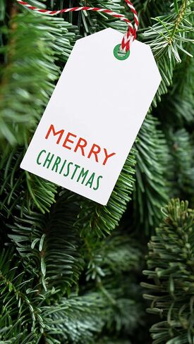 K-Kraft Christmas Gift Tags with String - 25-Pack - Festive Kraft Tags with Pre-Tied Red & White Baker's Twine - Perfect for Easy Wrapping Holiday Presents! in Saudi Arabia
