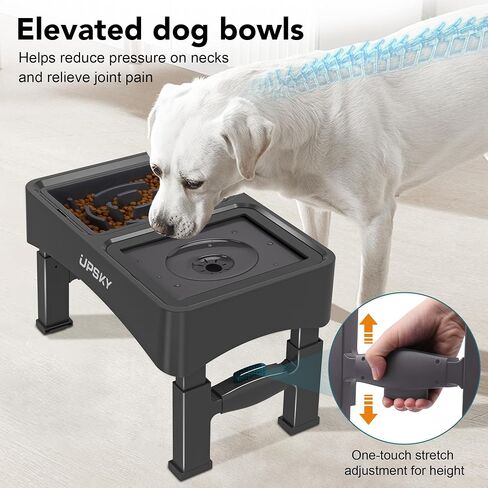 UPSKY 2-in-1 Elevated Dog Bowls Set with 4 Height Adjustable Stand, Balck in Kuwait