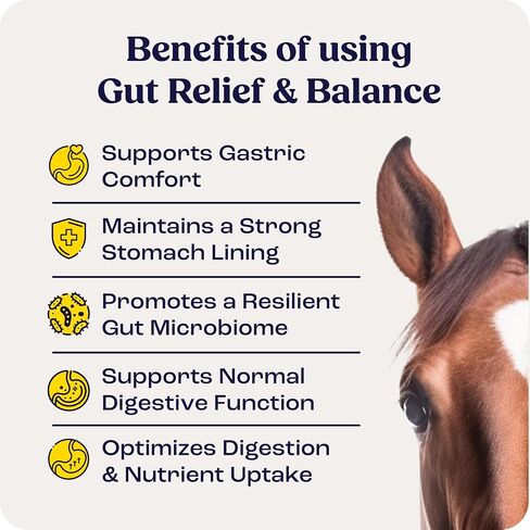 Gut Relief & Balance in Kuwait