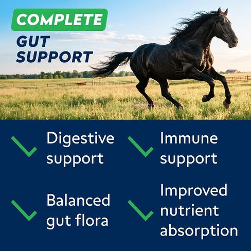 STRELLALAB Horse Probiotic Powder, 240 Servings – Equine Gut Supplement in Saudi Arabia