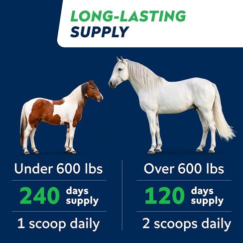STRELLALAB Horse Probiotic Powder, 240 Servings – Equine Gut Supplement in Saudi Arabia