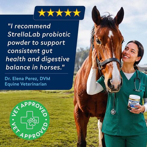 STRELLALAB Horse Probiotic Powder, 240 Servings – Equine Gut Supplement in Saudi Arabia