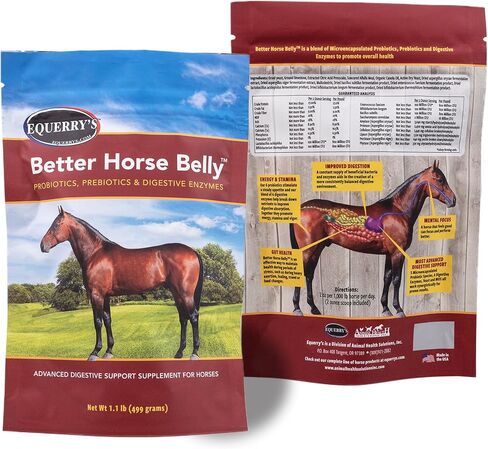 EQUERRY'S Better Horse Belly – Gut Support Supplement with Probiotics, Prebiotics & Digestive Enzymes | for Colic and Digestive Upset, 1.1LB in Kuwait