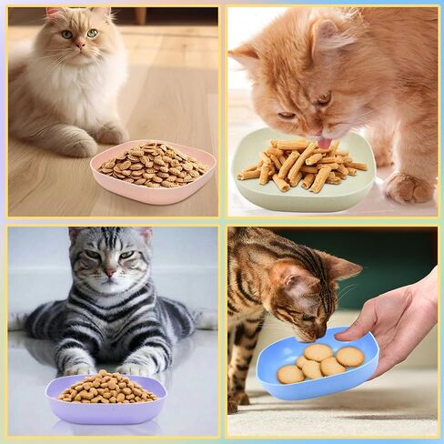 TKOnline 10 Pcs Cat Food Bowl Whisker Friendly ﻿ in Kuwait