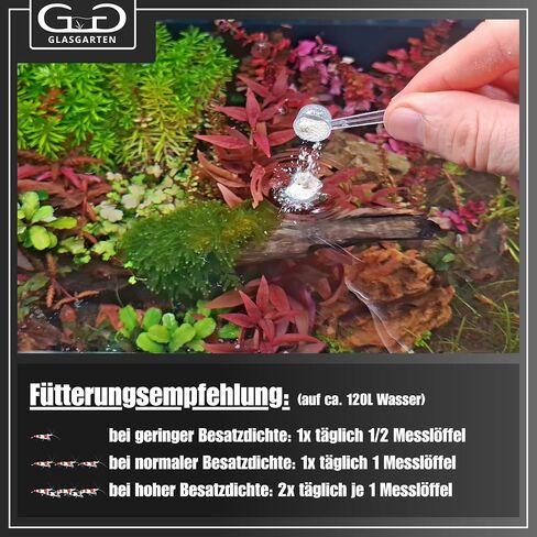 GlasGarten Bacter AE Content 70 g in Kuwait