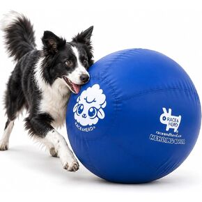 Race&Herd 25" Original Herding Ball — Cover, Inner Ball & Pump (Ocean) in Kuwait