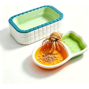 Hermit Crab Bathing Bowl & Feeding Dish, 2 Pack Reptile Habitat Accessories in Kuwait