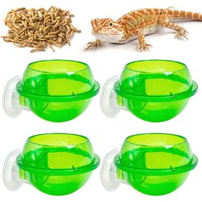 Tfwadmx Chameleon Bowl, Reptile Feeding Feeder,Worm Live Fodder Container, Water Dish Gecko Ledge Suction Cup Feeder Chameleon Supplies Accessories for Gecko Lizard Bearded Snakes Dragon 2 Pcs in Kuwait