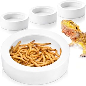 Meanplan 4 Pcs Reptile Bowl Food Dish Reptile Water Food Feeding, 2.71 Inch in Kuwait