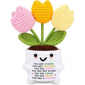 Get Well Gifts for Women After Surgery, Emotional Support Tulip Crochet in Kuwait
