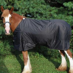 Country Pride Cascade Draft 600D Midweight Turnout Blanket in Kuwait