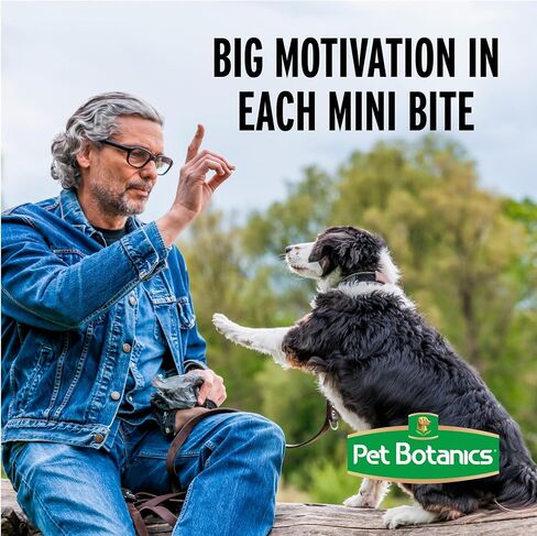 Pet Botanics Training Rewards Soft & Chewy Dog Treats, Bacon, 20 oz Bag in Kuwait