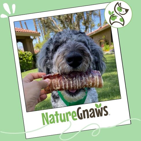 Nature Gnaws Beef Crunch Wrap Dog Chews, Trachea and Gullet 3 Count in Kuwait