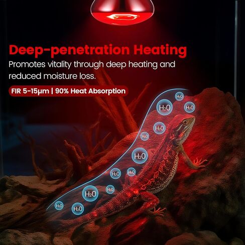 2-Pack 150W Infrared Heat Lamp - Reptile Heat Emitter, Red Heat Bulb for Chicked, Snake & Leopard Gecko, E26 Base in Kuwait