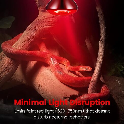 2-Pack 150W Infrared Heat Lamp - Reptile Heat Emitter, Red Heat Bulb for Chicked, Snake & Leopard Gecko, E26 Base in Kuwait