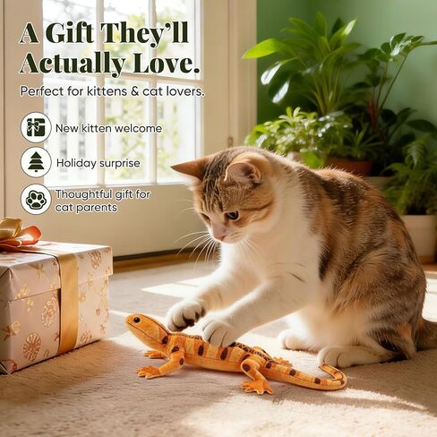 CiyvoLyeen Plush Lizard Catnip Toys for Indoor Cats 4 Pack in Kuwait