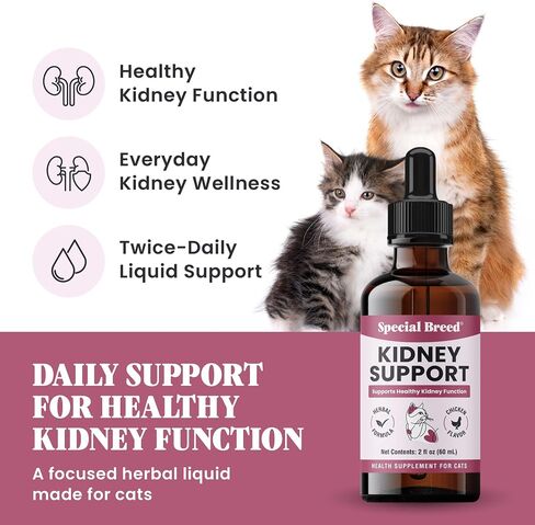 Special Breed Kidney Support for Cats - Rehmannia & Astragalus Liquid, 2 oz in Kuwait