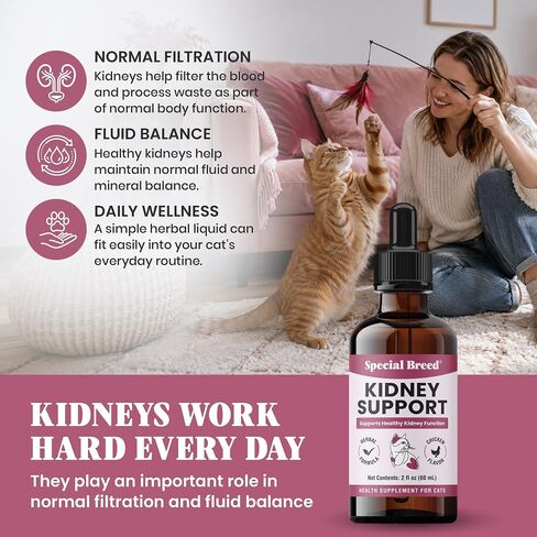 Special Breed Kidney Support for Cats - Rehmannia & Astragalus Liquid, 2 oz in Kuwait