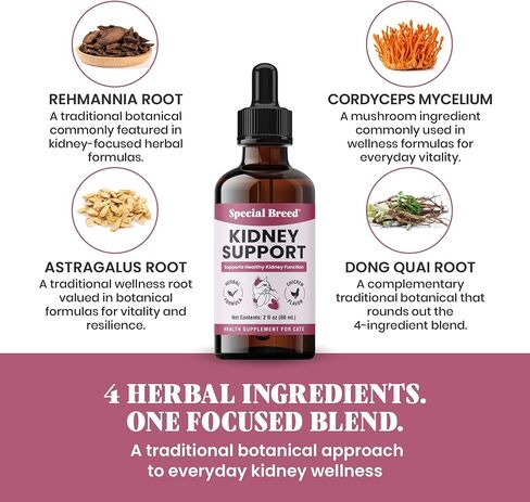 Special Breed Kidney Support for Cats - Rehmannia & Astragalus Liquid, 2 oz in Kuwait