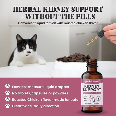 Special Breed Kidney Support for Cats - Rehmannia & Astragalus Liquid, 2 oz in Kuwait