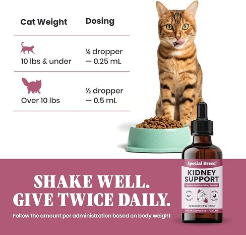 Special Breed Kidney Support for Cats - Rehmannia & Astragalus Liquid, 2 oz in Kuwait