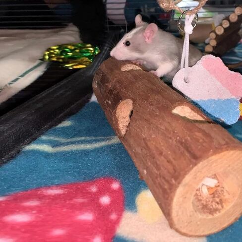 Natural Wood Tunnel Hamster Tunnel for Hamster Reptile Small Animals Cage Hollow Tree Trunk Hideout Toy (7.9"×2.7") in Kuwait