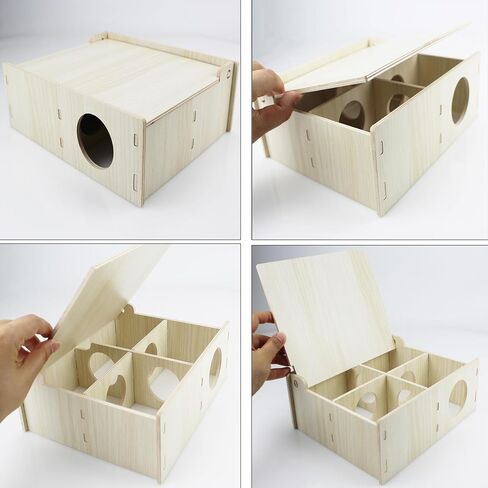 Amonk 10x8x4in Multi-Chamber with Play Tunnel Hamster House for Small Pets in Saudi Arabia