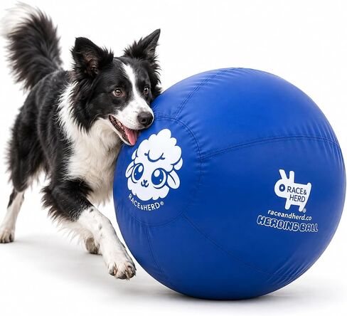 Race&Herd 25" Original Herding Ball — Cover, Inner Ball & Pump (Ocean) in Kuwait