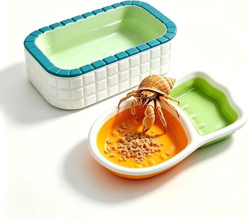 Hermit Crab Bathing Bowl & Feeding Dish, 2 Pack Reptile Habitat Accessories in Kuwait